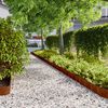 vidaXL 10 db rugalmas corten ac&eacute;l gyepszeg&eacute;ly 15 x 103 cm