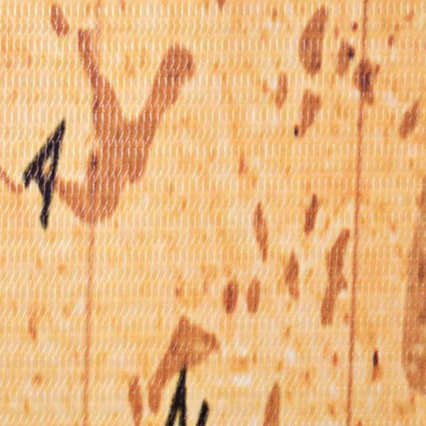 vidaXL sárga világtérkép mintás paraván 228 x 170 cm