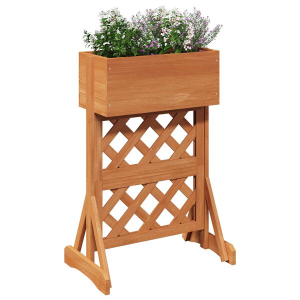 3 / 10. term&eacute;kk&eacute;p megjelen&iacute;t&eacute;se