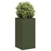 Olive_green