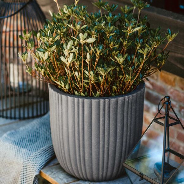 Capi Urban Tube s&ouml;t&eacute;tsz&uuml;rke toj&aacute;s alak&uacute; n&ouml;v&eacute;nytart&oacute; 35 x 34 cm