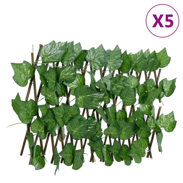 1 / 6. term&eacute;kk&eacute;p megjelen&iacute;t&eacute;se