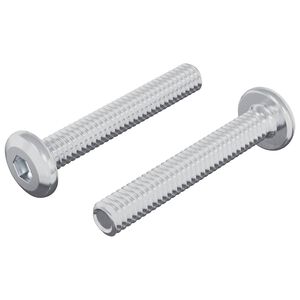 vidaXL Z&aacute;r Csavar Egysz&iacute;nű 2 pcs Ez&uuml;st M6 x 35 mm Ac&eacute;l