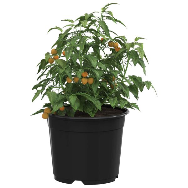 3 / 11. term&eacute;kk&eacute;p megjelen&iacute;t&eacute;se