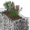 vidaXL Gabion emelt &aacute;gy Ez&uuml;st 50 x 100 x 100 cm Horganyzott ac&eacute;l