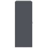 vidaXL T&aacute;rol&oacute;szekr&eacute;ny Antracit 90 x 40 x 105 cm Ac&eacute;l