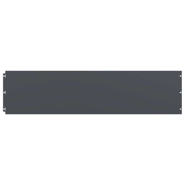 vidaXL 20 db antracit hidegen hengerelt ac&eacute;l gyepszeg&eacute;lyek 25x103 cm