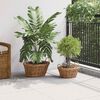 vidaXL Vir&aacute;gkos&aacute;r t&aacute;rol&oacute;val 2 pcs Barna Lacak Rattan