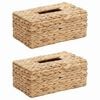 vidaXL Zsebkendődoboz Fedelek 2 pcs V&iacute;zi j&aacute;cint 27.5 x 16.5 x 14 cm