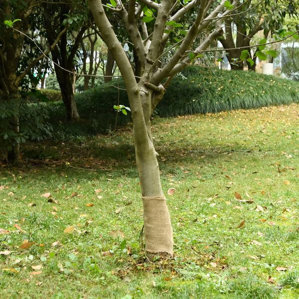 2 / 7. term&eacute;kk&eacute;p megjelen&iacute;t&eacute;se