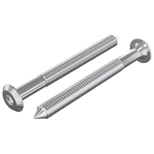 vidaXL B&uacute;torcsavarok 2 pcs Ez&uuml;st M6 x 60 mm Ac&eacute;l