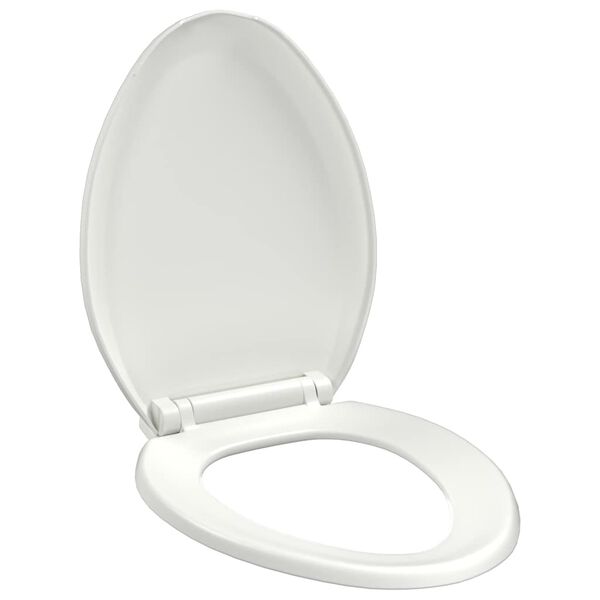 1 / 12. term&eacute;kk&eacute;p megjelen&iacute;t&eacute;se