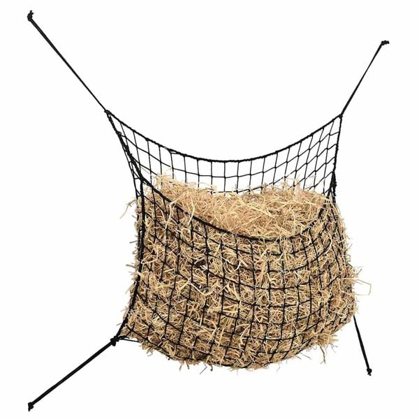 2 / 3. term&eacute;kk&eacute;p megjelen&iacute;t&eacute;se