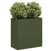 Olive_green