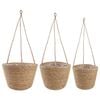 vidaXL Tengeri fű n&ouml;v&eacute;nytart&oacute;k 3 pcs Term&eacute;szetes &Oslash;26 x 19 cm