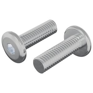 vidaXL Csavar 2 pcs Ez&uuml;st 8 x 25 mm Ac&eacute;l