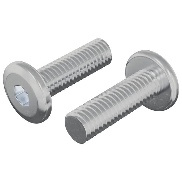 vidaXL Csavar 2 pcs Ez&uuml;st 8 x 25 mm Ac&eacute;l