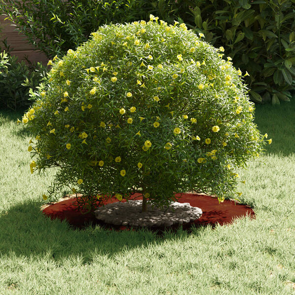 3 / 11. term&eacute;kk&eacute;p megjelen&iacute;t&eacute;se