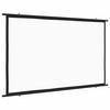 vidaXL vet&iacute;tőv&aacute;szon 100" 16:9