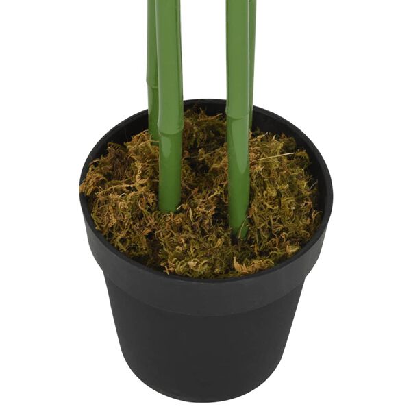 3 / 4. term&eacute;kk&eacute;p megjelen&iacute;t&eacute;se
