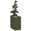 Olive_green