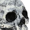 Term&eacute;kindexk&eacute;p: 6 / 8