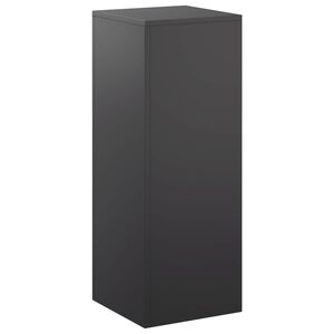 vidaXL N&ouml;v&eacute;ny&aacute;llv&aacute;ny Fekete 30 x 30 x 80 cm Ac&eacute;l