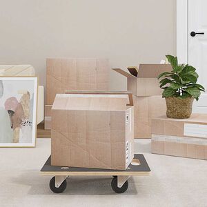 vidaXL 2 db n&eacute;gysz&ouml;gletű sz&aacute;ll&iacute;t&oacute;kocsi 250 kg 50 x 35 x 11,5 cm