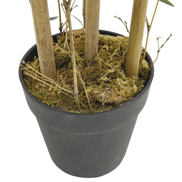 3 / 4. term&eacute;kk&eacute;p megjelen&iacute;t&eacute;se