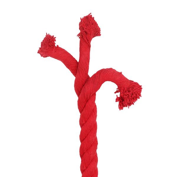 4 / 5. term&eacute;kk&eacute;p megjelen&iacute;t&eacute;se