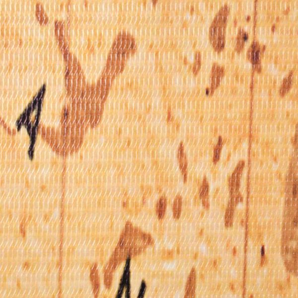 4 / 5. term&eacute;kk&eacute;p megjelen&iacute;t&eacute;se