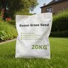 Term&eacute;kindexk&eacute;p: 2 / 3