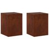 vidaXL N&ouml;v&eacute;ny&aacute;llv&aacute;ny 2 pcs Rozsd&aacute;s 30 x 30 x 40 cm Időj&aacute;r&aacute;s&aacute;ll&oacute; Ac&eacute;l