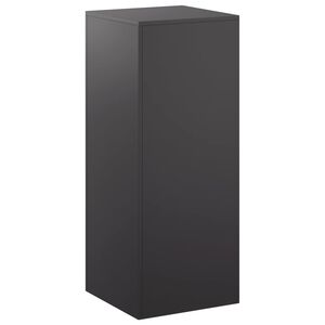 vidaXL N&ouml;v&eacute;ny&aacute;llv&aacute;ny Fekete 40 x 40 x 100 cm Ac&eacute;l