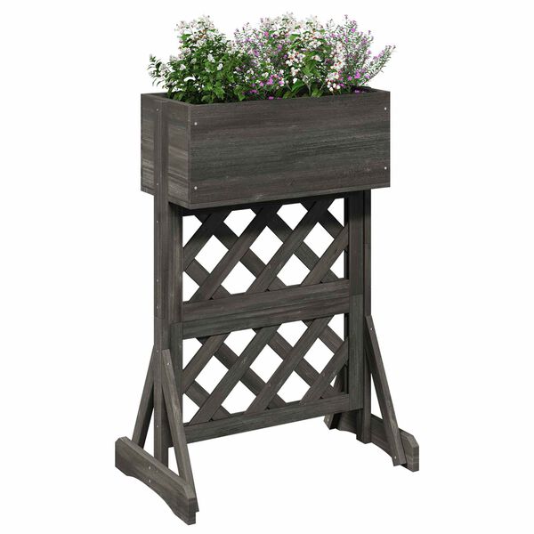 3 / 10. term&eacute;kk&eacute;p megjelen&iacute;t&eacute;se