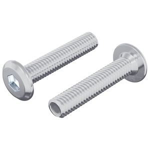 vidaXL Z&aacute;r Csavar Egysz&iacute;nű 2 pcs Ez&uuml;st M6 x 30 mm Ac&eacute;l