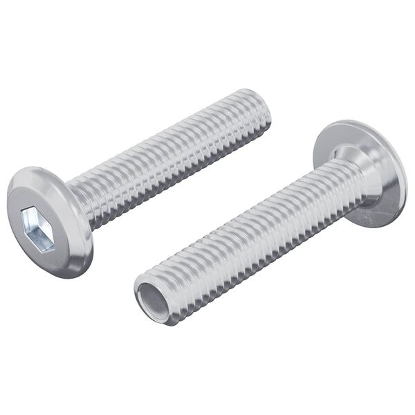 vidaXL Z&aacute;r Csavar Egysz&iacute;nű 2 pcs Ez&uuml;st M6 x 30 mm Ac&eacute;l