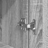 Term&eacute;kindexk&eacute;p: 10 / 13