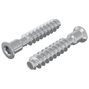 vidaXL Fejz&aacute;r csavar 2 db Ez&uuml;st M7 x 40 mm Ac&eacute;l