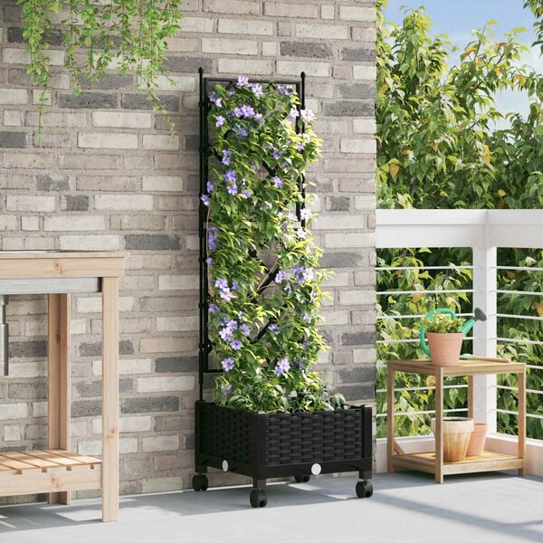 2 / 7. term&eacute;kk&eacute;p megjelen&iacute;t&eacute;se