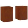 vidaXL N&ouml;v&eacute;ny&aacute;llv&aacute;ny 2 db Rozsd&aacute;s 24 x 24 x 35 cm Időj&aacute;r&aacute;s&aacute;ll&oacute; Ac&eacute;l