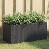 vidaXL 2 db fekete polyrattan kerti &uuml;ltetől&aacute;da 2 cser&eacute;ppel 72x30x32 cm