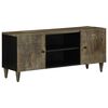 vidaXL vil&aacute;gossz&uuml;rke t&ouml;m&ouml;r mang&oacute;fa TV-szekr&eacute;ny 105x33,5x46 cm