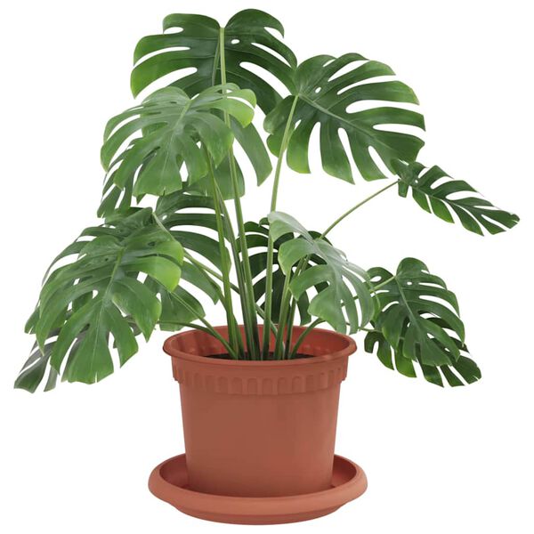 3 / 12. term&eacute;kk&eacute;p megjelen&iacute;t&eacute;se