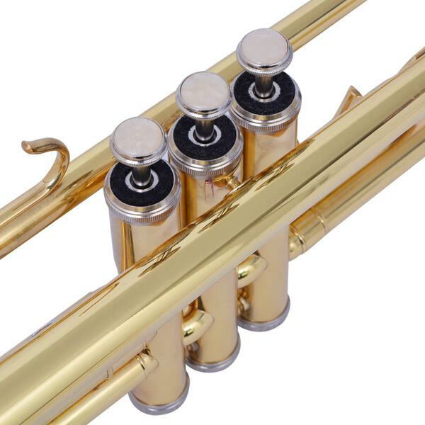 vidaXL Arany lakkal bevont s&aacute;rga r&eacute;z trombita