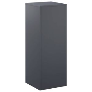 vidaXL N&ouml;v&eacute;ny&aacute;llv&aacute;ny Antracitsz&uuml;rke 30 x 30 x 80 cm Rozsdamentes Ac&eacute;l