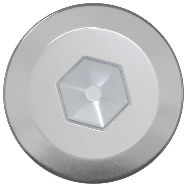 vidaXL Fa Csavarok 2 pcs Ez&uuml;st M6 x 70 mm Ac&eacute;l