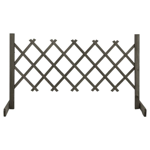 1 / 7. term&eacute;kk&eacute;p megjelen&iacute;t&eacute;se