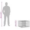 vidaXL Gabion emelt &aacute;gy Ez&uuml;st 60 x 60 x 40 cm Horganyzott ac&eacute;l