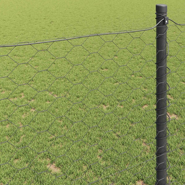 4 / 9. term&eacute;kk&eacute;p megjelen&iacute;t&eacute;se